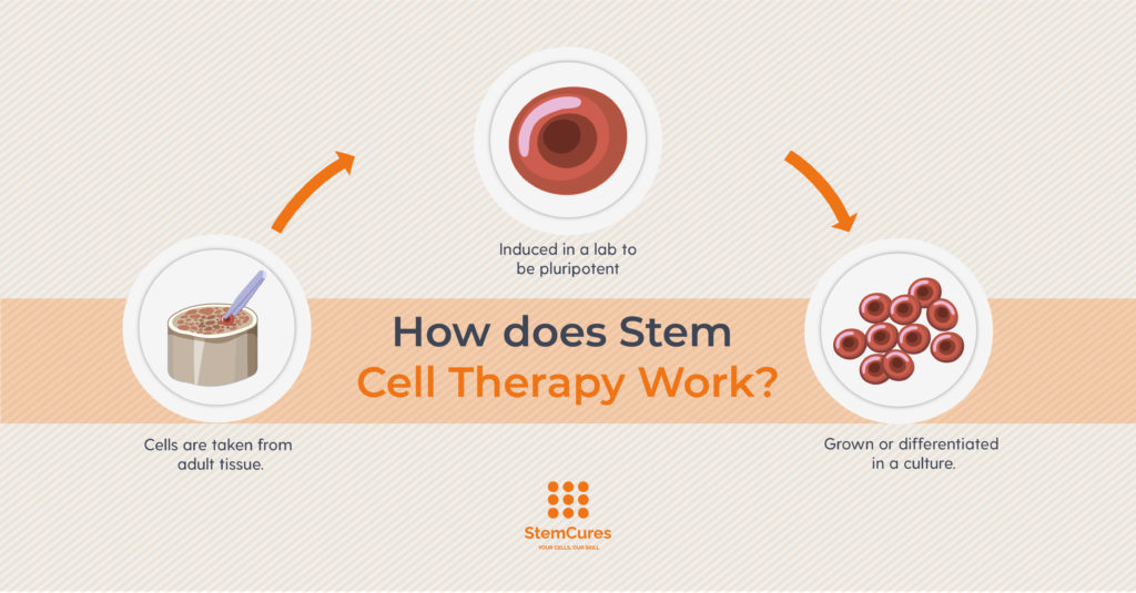 how-do-stem-cells-work-graphic